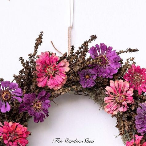 The Garden Shed on Instagram: "Dried flower zinnias, lepto, and reindeer moss #driedflowers #driedflowerwreath #zinniawreath #driedzinniawreath" Dried Zinnias, Zinnia Wreath, Dried Wreath, Reindeer Moss, July 16, Garden Shed, Dried Flower, Fall Wreath, Dried Flowers