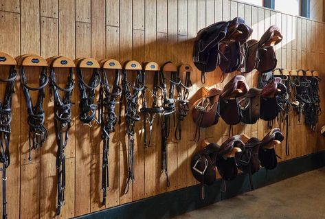 Beautiful and organized tack room Western Riding Tack, Horse Stables Design, Tack Locker, Tack Room Organization, Horse Walker, Horse Tack Rooms, Stable Style, Dream Stables, Horse Barn Plans