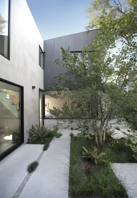 Gallery of Garden House / ANX / Aaron Neubert Architects - 8 Australian Garden Design, Custom Water Feature, Australian Trees, Australian Native Garden, 70s House, Australian Garden, Australian Native Plants, Coastal Gardens, Most Beautiful Gardens