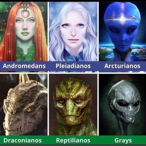 Arcturians Aliens, Pleiadians Aliens, Alien Types, Alien Facts, Types Of Aliens, Aliens On The Moon, Alien Videos, Alien Pictures, Aliens History