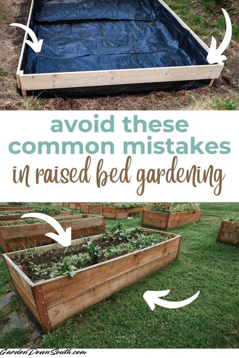 Top 10 Raised Bed Garden Mistakes to Avoid Garden Box Landscaping, Vegetable Plot Ideas, Raised Bed For Herbs, Diy Easy Raised Garden Bed, Raised Garden Beds Around Fire Pit, Elevated Garden Bed Ideas, Budget Garden Boxes, Raised Garden Bed Aesthetic, Front Garden Raised Beds