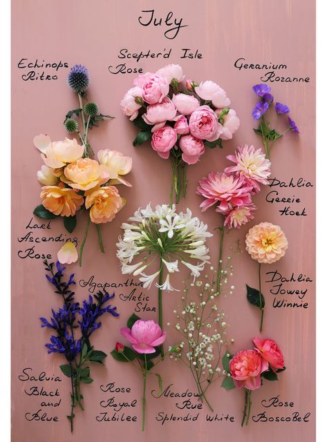 BOTANICAL POSTERS BY MONTH — Shop — LONDON BLOOMS August Flowers, Flowers London, October Flowers, July Flowers, September Flowers, April Flowers, London Garden, Flower Guide, Cut Flower Garden