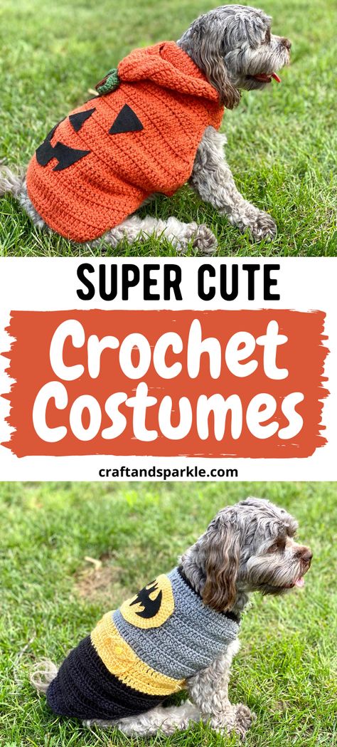 Get your pet enjoying Halloween with the rest of us! Here are 7 easy DIY costumes you can make for small dogs. Some are funny and some are just super cute but all you can make yourself! #dogcostume #petcostumes #halloweencostumes Dog Outfit Crochet Pattern, Free Crochet Dog Costume Patterns, Funny Dog Sweaters, Crochet For Chihuahua, Crochet Dog Witch Hat, Crochet Items For Dogs, Crochet Small Dog Clothes, Crochet Dog Pajamas, Crochet Patterns Dog Clothes