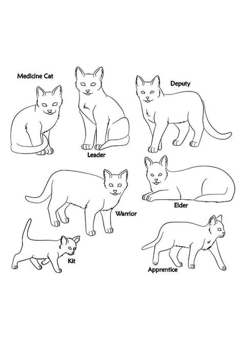 Warrior Cats Coloring Pages, Warrior Cats Clans, Cats Coloring Pages, Zebra Coloring Pages, Simple Cat Drawing, Warrior Cats Comics, Drawing Bases, Cat Drawing Tutorial, Puppy Coloring Pages