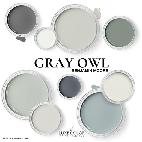 Gray living room paint colors