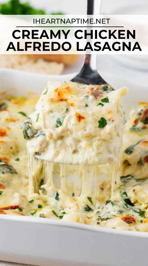 Chicken Alfredo Lasagna Recipe, Chicken Spinach Lasagna, Cream Spinach, Creamy Chicken Alfredo, Chicken Lasagne, Chicken Lasagna Recipe, White Chicken Lasagna, Creamy White Sauce, Chicken Alfredo Lasagna