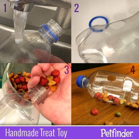 Homemade pet toy soda bottle treat dispenser Diy Jouet Pour Chat, Dog Treat Dispenser, Homemade Dog Toys, Chat Diy, Kat Diy, Diy Dog Food, Dog Treat Toys, Diy Pet Toys, Diy Dog Toys