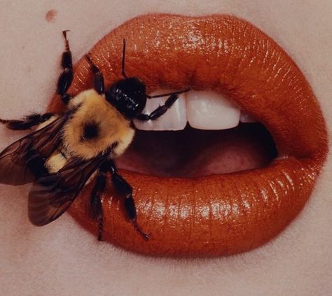 90s Allure💗 on Instagram: ““the lip fix” by irving penn for vogue, dec. 1995💋 in that year vogue was reporting on the beginning of the collagen lip-plumping era, this…” Bee Stung Lips, Editorial Still Life, Irving Penn, Fashion Editorial, Still Life, Book Art, Contemporary Art, Color Pop, Editorial