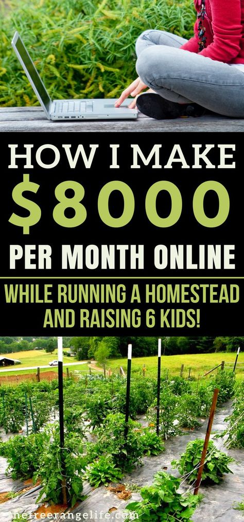 Farm Business, Homesteading Skills, Internet Business, Work At Home, Home Jobs, Blogging For Beginners, Make Money Blogging, Money Blogging, Work From Home Jobs