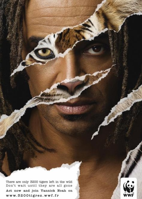 Campaigns Advertising, Yannick Noah, Advertising Words, Men Skincare, Visuell Identitet, Tiger Poster, Creative Industry, Animals Print, Powerful Images