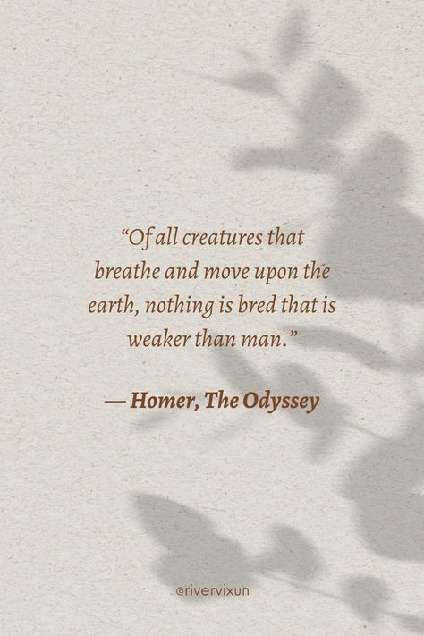 The Odyssey book quotes This Savage Song Aesthetic, Savage Book Quotes, This Savage Song, Savage Poetry, Odyssey Homer, Homer Quotes, English Literature Quotes, Eyes Quotes Soul, Classic Literature Quotes