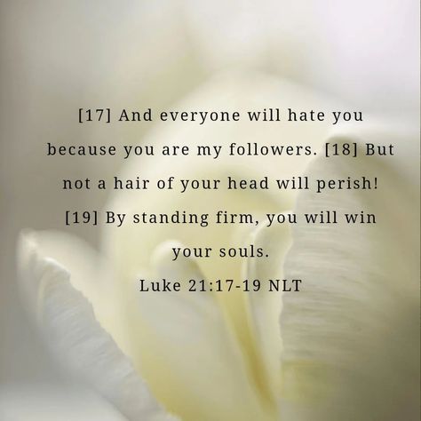 Luke 21:17-19 Luke 21, Verse Wallpaper, Luke 1, Verses Wallpaper, Bible Words, April 29, Bible Verse Wallpaper, Christian Quotes, Bible Verse