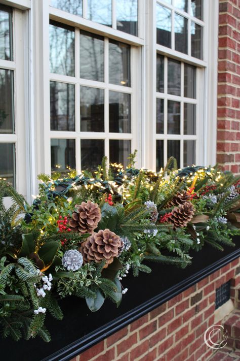 Christmas Outdoor Flower Boxes, Winter Window Boxes Ideas, Holiday Window Box Ideas, Winter Flower Boxes Front Porches, Outdoor Christmas Window Boxes, Fall Winter Window Boxes, Outside Christmas Window Decorations, Window Box Christmas Decor, Winter Flower Boxes Window