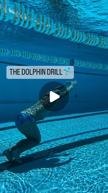 Stefano Razeto | Swimming training & technique on Instagram: "Hey swimmers, we’ve got a playful butterfly drill ready for you to try out next time you’re in the pool! ⠀⠀⠀⠀⠀⠀⠀⠀⠀⠀⠀ ⠀⠀⠀⠀⠀⠀⠀⠀⠀⠀ ⠀⠀⠀⠀⠀⠀⠀⠀⠀⠀⠀ ⠀⠀⠀⠀ 🐬THE DOLPHIN JUMPS🐬 ⠀⠀⠀⠀⠀⠀⠀⠀⠀⠀⠀⠀ ⠀⠀⠀⠀⠀ 👉🏼 swim to the bottom of the pool and push off as hard as you can in a streamline position heading towards the surface ⠀⠀⠀⠀⠀⠀⠀⠀⠀⠀ ⠀⠀⠀⠀⠀⠀⠀⠀⠀⠀⠀ ⠀⠀⠀⠀⠀⠀⠀⠀⠀ 👉🏼 just before you break the surface take a powerful pull, kick and breathe in as the head exits the water ⠀⠀ 👉🏼 as the hands are about to enter the water after the recovery phase, take the second kick to help you go back down towards the bottom of the pool ⠀⠀⠀⠀⠀⠀⠀⠀⠀⠀ ⠀⠀⠀⠀⠀⠀⠀⠀⠀⠀ ⠀⠀⠀⠀⠀⠀⠀⠀⠀⠀⠀ ⠀⠀⠀⠀⠀ Repeat the 3 steps mentioned above for the length of the pool, so either 25 or 50m. Have fun gro Swimming Pool Steps, Swimming Drills, Swimming Training, Pool Steps, Free Kick, Swim Team, In The Pool, Swimmers, Drills