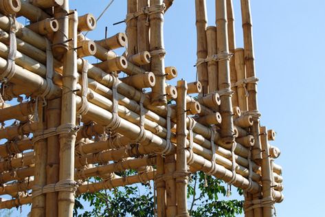 Roswag Seiler and Pakistani Locals Hand-build a School from Cob, Bamboo and Mud | Inhabitat - Green Design, Innovation, Architecture, Green Building Bamboo Scaffolding, Bamboo Building, Bamboo Structure, Bamboo Architecture, Bamboo Construction, Bamboo Art, Bamboo House, Bamboo Shoots, Bamboo Crafts