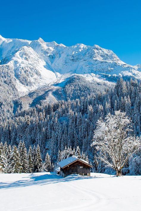 French Alps Ski, France Winter, Italy Winter, Chamonix France, Ski Culture, Winter Mountain, Ski Resorts, French Alps, Winter Scenery