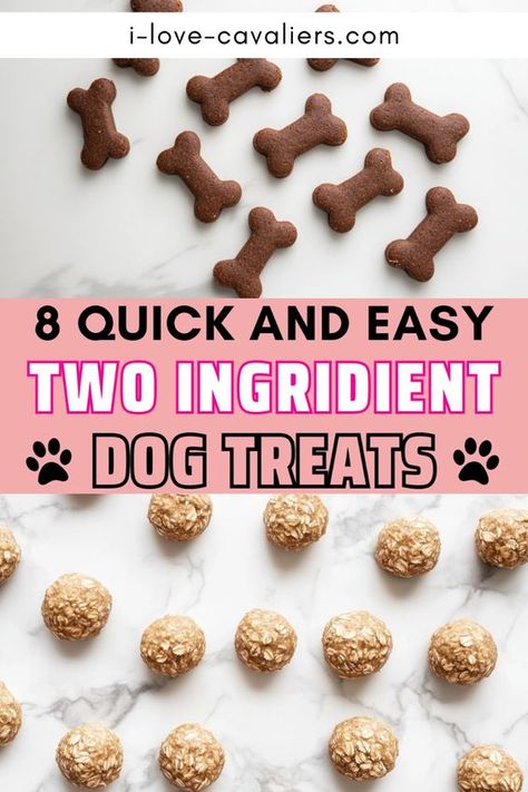 Looking for easy 2-ingredient dog treats? Check out our article with 8 simple dog cookie recipes. Whether you prefer baked or no-bake treats, or DIY dog treats with peanut butter and banana, you'll find various homemade two-ingredient dog treat recipes that will have your pet wagging its tail. Dog Treat Goodie Bags, Dog Fudge Recipe, Diy Dog Treat Container Jars, Dog No Bake Treats, Diy Puppy Treats Healthy, Easy No Bake Dog Treats Recipe, Dog Treat Batter Recipe, Easy 3 Ingredient Dog Treats, Homemade Dog Cookies Easy