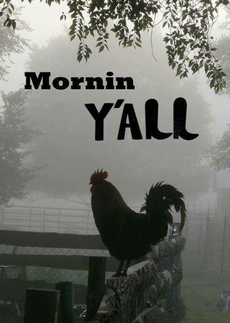 Morn'n Southern Slang, Southern Grace, Southern Pride, Southern Life, Southern Sayings, Chickens And Roosters, Down On The Farm, Southern Hospitality, Southern Comfort