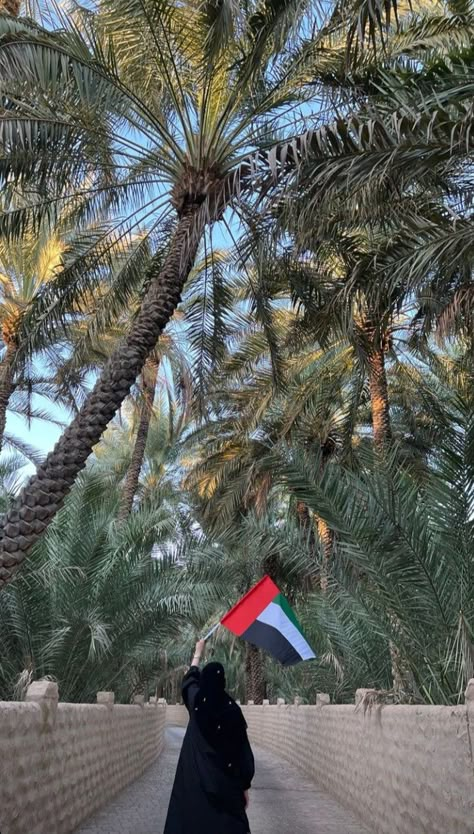 Uae National Day Aesthetic, National Day Photoshoot, Uae Flag Aesthetic, Uae Winter, Khaliji Aesthetic, Dubai Flag, National Day Ideas, Ozil Mesut, National Day Uae