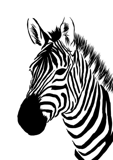 zebra cross contour Zebra Drawing, Zebra Face, Zebra Head, Zebra Art, Animal Stencil, Drawing Heads, Soyut Sanat Tabloları, White Drawing, Drawing Faces