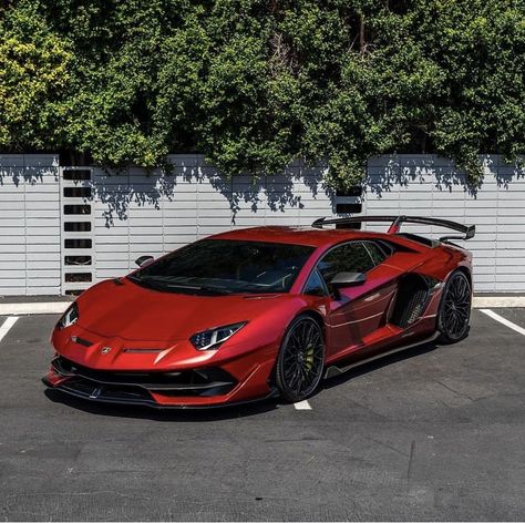 Lamborghini Cars, Exotic Sports Cars, High Life, Lamborghini Aventador, Dream Garage, Sports Cars Luxury, Car Collection, Maserati, Super Cars