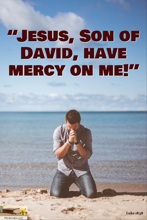 Luke 18:38 / “Jesus, Son of David, have mercy on me!” Son Of David Have Mercy On Me, Luke 20:27-38, Luke 19:28-40, Luke 12:48 Words, Luke 10:38-42 Mary And Martha, Son Of David, Lilies Of The Field, He Is Risen, Holy Bible