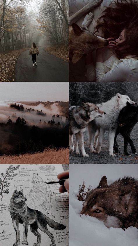 Celina Core Aesthetic, Twilight Wolves Aesthetic, Wolf Background Wallpapers, Wolf Pack Aesthetic, Types Of Wolf, Werewolf Oc Art, Wolf Moodboard, Wolves Wallpaper, Wolf Aesthetic