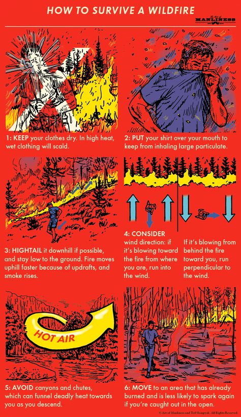 Survival Stuff, Survival Skills Life Hacks, Art Of Manliness, Survival Life Hacks, Apocalypse Survival, Book Smart, Survival Techniques, Survival Life, How To Survive