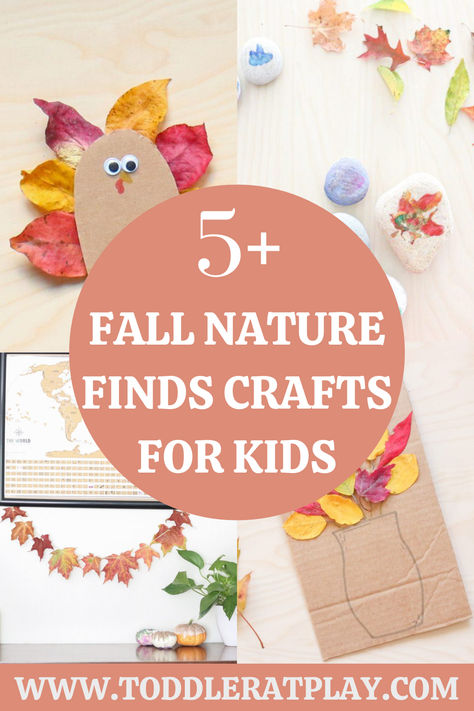 5  Fall Nature Finds Crafts for Kids - Toddler at Play Thanksgiving Nature Crafts For Kids, Nature Crafts For Kids, Homeschooling Activities, Easy Winter Crafts, Toddler Craft, Fall Nature, Homeschool Crafts, Bear Crafts, Leaf Crafts