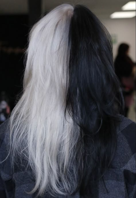 Black And White Split Dye Hair, Black White Split Hair, Half Black Half Grey Hair, Half Gray Half Black Hair, Half Black Half Silver Hair, Half White And Black Hair, Split Hair Dye Black And White, Black Roots White Hair, Half Grey Half Black Hair