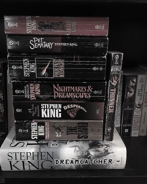 Books Aesthetic Vintage, Stephen King Books, My King, King Book, Books Aesthetic, Season Of The Witch, Dark Academia Aesthetic, Only Child, Yandere Simulator