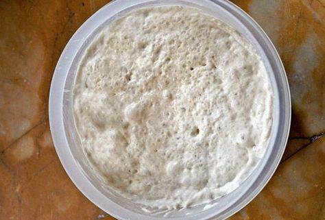 Biga Recipe (Behind every incredible loaf of Italian bread is a biga, or starter. This is the best one we've ever made.) Biga Bread Recipe, Dough Starter, Bread Starter, Ciabatta Bread, Italian Bread, Starters Recipes, Bread Recipes Homemade, Artisan Bread, Dough Recipe