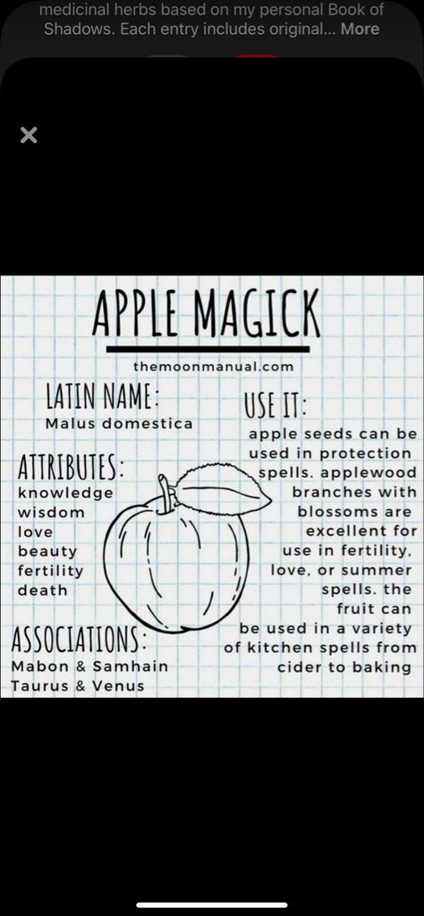 Apple Witchcraft, Apple Symbolism, Apple Meaning, Bind Runes, Magic Herbs, Apple Seeds, Witchy Stuff, Apple Magic, Witch Aesthetic