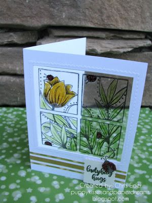 Ladybug Wings, Acetate Cards, Clean Crafts, Vellum Cards, Stazon Ink, Puppy Kisses, Hand Made Greeting Cards, Window Cards, Card Making Crafts