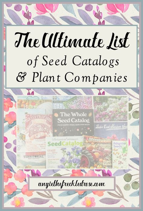 The Ultimate List of Seed Catalogs and Plant Companies | angiethefreckledrose.com How To Save Seeds, Save Seeds, Burgundy Dahlia, Varieties Of Tomatoes, Garden Catalogs, Lawn Mowing, Moon Nursery, Buy Seeds, Long Term Storage