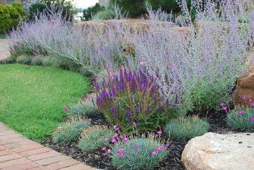 Russian Sage  Zone 5 Perennials Design, Pictures   Full Sun | drought tolerant Russian Sage, Drought Tolerant Garden, Drought Tolerant Landscape, Yard Landscape, Garden Shrubs, Desert Garden, Drought Tolerant Plants, Perennial Garden, Gorgeous Gardens