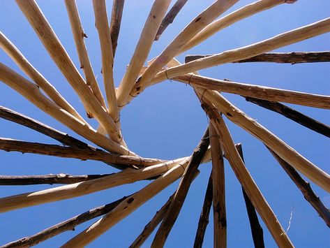 Reciprocal Roof, Dream Ranch, Bag House, Earth Bag, Lost Things, Cement Walls, Bamboo Architecture, Living Roofs, Roof Construction