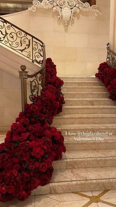 Rose Wedding Theme, Red Rose Wedding, Dream Wedding Ideas Dresses, Flower Therapy, Jolie Photo, Wedding Mood, Red Wedding, Rose Wedding, Red Rose