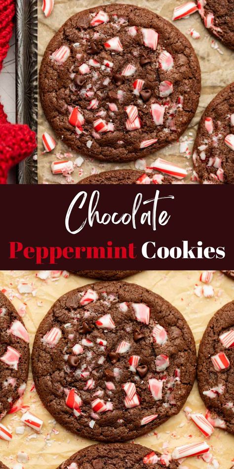 Chocolate Peppermint Cookies - I Heart Eating Chocolate Peppermint Drop Cookies, Chocolate Peppermint Cookies Easy, Cocoa Peppermint Cookies, Chocolate Peppermint Christmas Cookies, Brownie Peppermint Cookies, Christmas Cookies Chocolate Peppermint, Hot Cocoa Peppermint Cookies, Cookies With Crushed Peppermint, Gluten Free Chocolate Mint Cookies