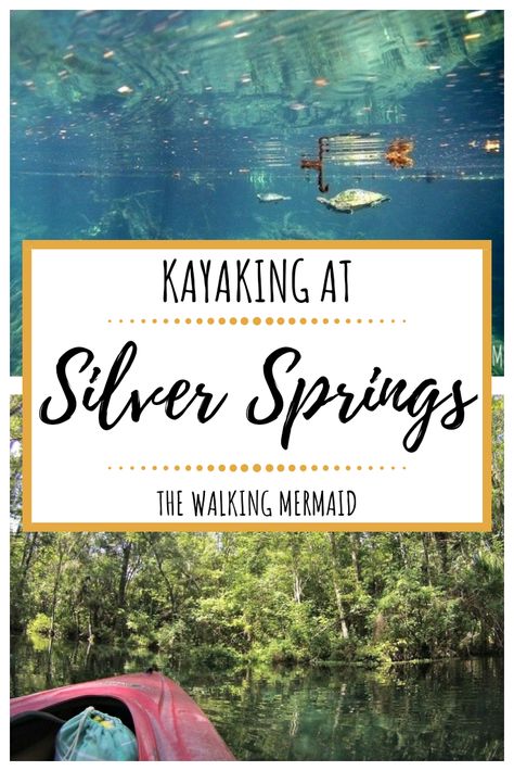 Silver Springs Florida, Kayak Equipment, Florida Travel Guide, Florida Adventures, Florida State Parks, Florida Springs, Springs Florida, Kayak Camping, Silver Springs