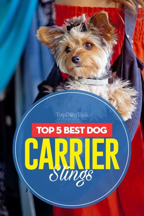 How To Make A Dog Sling Carrier, Dog Carrying Sling, Dog Carrier Pattern, Shih Tzu Puppy Training, Flying With Pets, Best Small Dogs, Small Dog Carrier, Dog Carrier Sling, Puppy Carrier