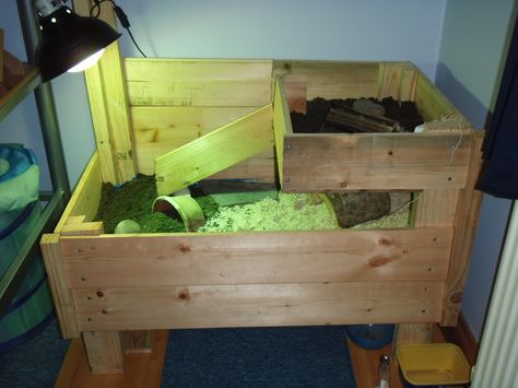 Ramp would need railings. Needs more moving room but like the upper bed Redfoot Tortoise, Tortoise Accessories, Turtle House, Russian Tortoise Diet, Turtle Stuff, Tortoise House, Tortoise Enclosure, Tortoise Table, Russian Tortoise