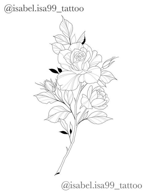 Rose Fine Line Tattoo, Rose Flower Outline, Small Feather Tattoo, Rose Flower Tattoos, Engraving Tattoo, Animal Tattoo Ideas, Flower Tattoo Drawings, Single Line Tattoo, Flash Tattoo Designs