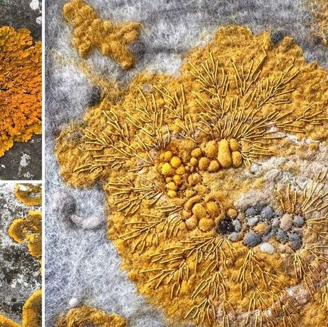 Lynn Comley👩🏻‍🎨 on Instagram: "Caloplaca thallincola coastal lichen. 2/2. This particular lichen grows within the splash zone on rocky shorelines an area where it is particularly difficult for any organism to grow due to exposure and salty spray.  This work will be part of my display at the @embracingwool Burton Constable Hall stables gallery 14th May to 14th July 2024.  🔗Link in bio  . #lichen #rockyshore #orangezone #lownewton #lownewtonbythesea #northumberland  #textileart #embroidery #embroideryart #broderiemoderne #handstitched #textileartist #inspiredbynature #wetfelting #embroideryisart #modernembroidery #threadart #upanddowndale #stitchery #societyforembroideredwork #lichenology #contemporaryart #naturalworld #feltartist #feltmaker #nature  #minutiae  #originalart #needleandthr Lichen Embroidery, Lynn Comley, Moss And Lichen, Splash Zone, Lichen Moss, Abstract Embroidery, Rocky Shore, Shabby Chic Crafts, Thread Art