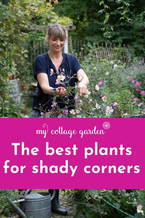 Do cottage gardens work in partial shade? Or even in full shade? I spent hours intensively researching the most beautiful flowering plants for shady locations in your garden and realised that there are some wonderful options. Here’s what I found. Photo: Syl Gervais Partial Shade Flowers, Cottage Garden Borders, Garden Ideas Uk, Backyard Escape, Shade Landscaping, Shade Garden Design, Cozy Garden, Backyard Sanctuary, Plants Uk