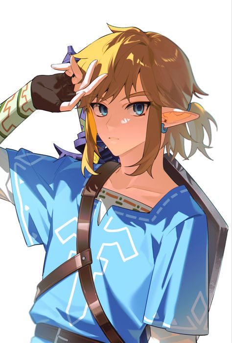 Link Fanart, Hyrule Castle, Hot Fan, Shigeru Miyamoto, Zelda Twilight Princess, Ben Drowned, Happy Birthday My Love, Hyrule Warriors, Marvel Quotes