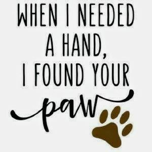 "WHEN I NEEDED A HAND, I FOUND YOUR PAW!" Dog Sayings, Söt Katt, Airedale Terrier, Dog Tattoo, Cat Quotes, Memes Humor, Dog Paw, Animal Quotes, Chi Chi