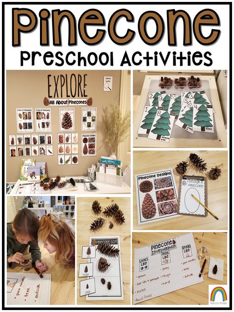 Forest Science Preschool, Pinecone Theme Preschool, Pinecone Preschool Activities, Tree Unit, Science Projects For Preschoolers, Science Center Preschool, Forest Biome, Forest Kindergarten, Homeschool Nature Study