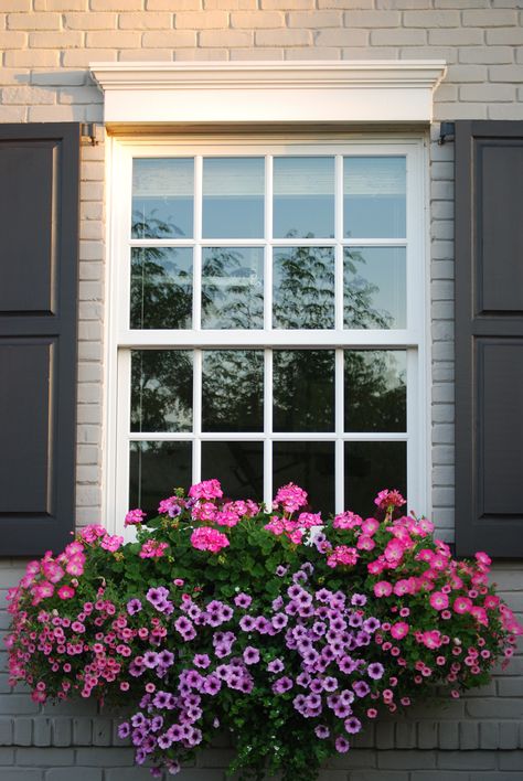 I like the different sizes of pink flowers all bunches around the lavender, very striking window box! Window Box Plants, Window Box Garden, Plant Window, Window Box Flowers, Spring Window, Flower Window, Garden Containers, Garden Windows, Window Boxes