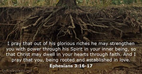 Ephesians 3:16-17 - dailyverses.net Rooted And Established In Love, Ephesians 3 16, Inner Being, Heavenly Places, Love Conquers All, When You Believe, Beautiful Prayers, Fun Website Design, Divine Mercy